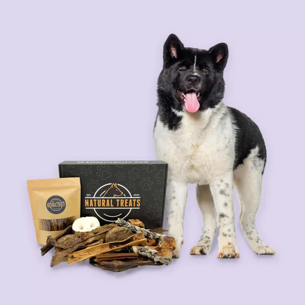 webporters naturaltreats